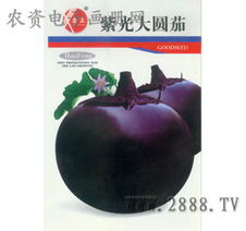 产品大全 瓜果蔬菜种子